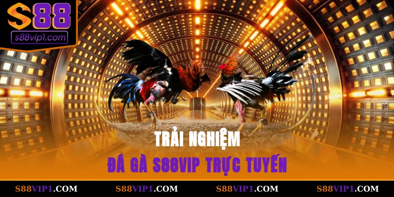 S88Vip Trải nghiệm đá gà S88vip trực tuyến